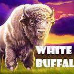white buffalo slot